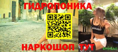 apvp Аргун