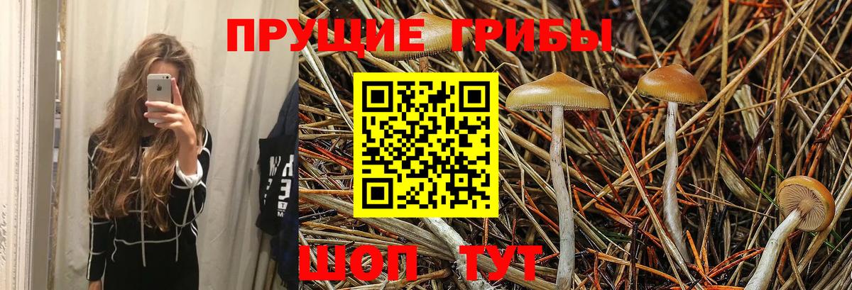 МАРИХУАНА  Вход с VPN  APVP СОЛЬ   Кокаин  Владимир  Марихуана  Меф МЯУ МЯУ кристаллы 