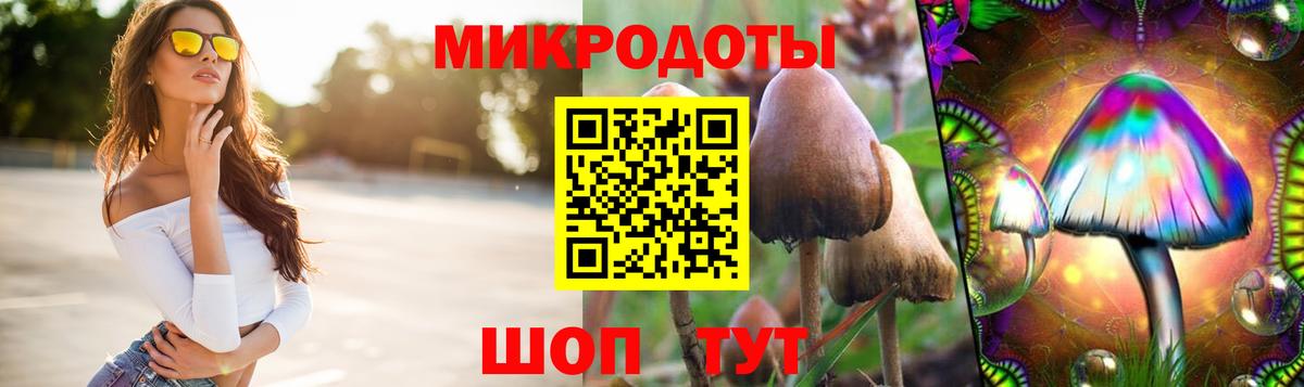 Владимир  Псилоцибиновые грибы MAGIC MUSHROOMS  Вход с VPN 